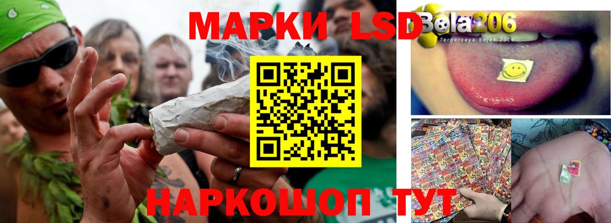 Бошки Шишки Сибай