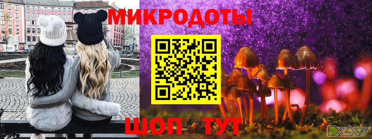 Псилоцибиновые грибы мицелий  Вход с VPN  Сибай 