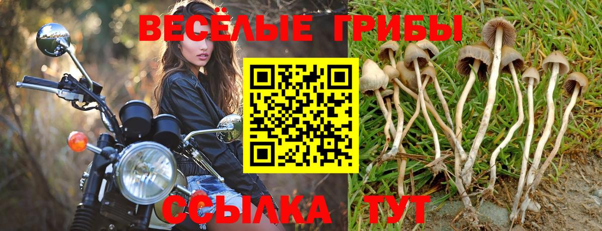Псилоцибиновые грибы MAGIC MUSHROOMS Сибай